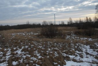 Зарастают десятки гектаров сельхозугодий в Западнодвинском районе