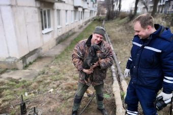 В Ржеве спасали таксу, забежавшую под плиты теплотрассы