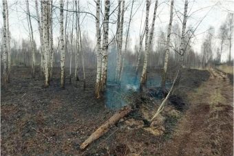 В Конаковском районе сотрудники МЧС ликвидировали горение торфяника