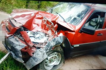 Под Тверью внедорожник врезался в дерево