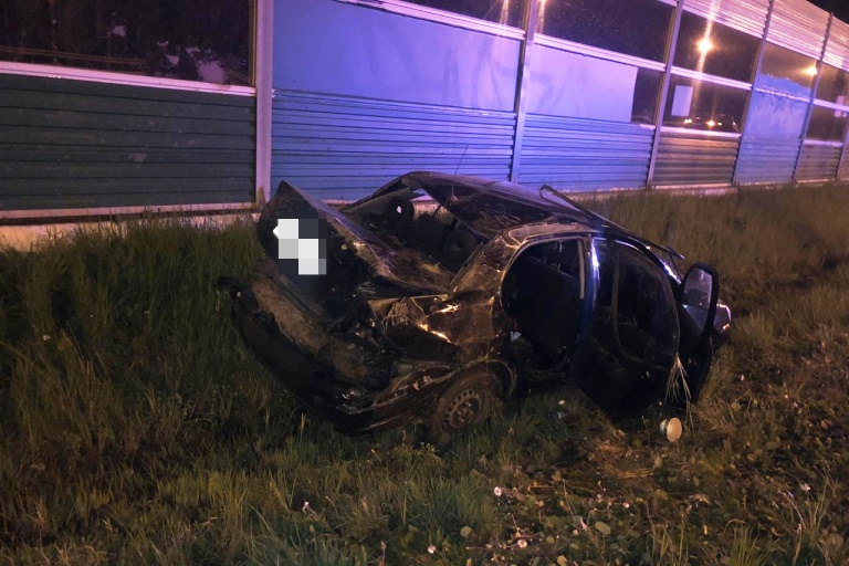 В Тверской области водитель пострадал после столкновения легковушки с лосем