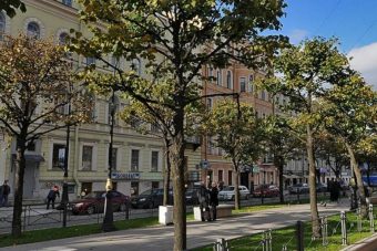 Девушку из Тверской области нашли мертвой в Санкт-Петербурге