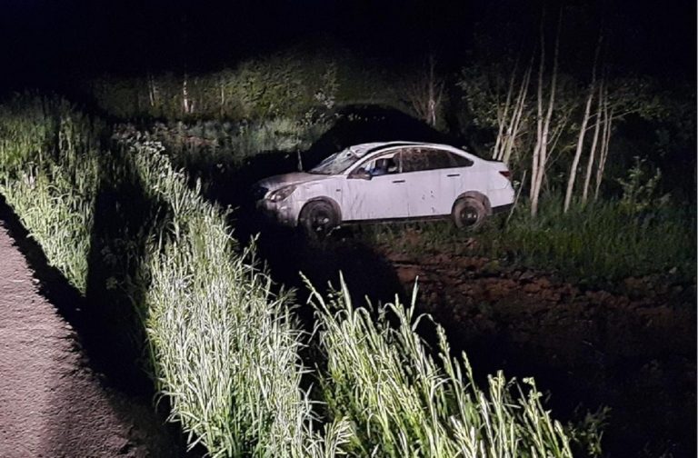 В Рамешковском районе вылетела в кювет иномарка