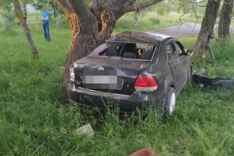 В Спирово легковушка врезалась в дерево