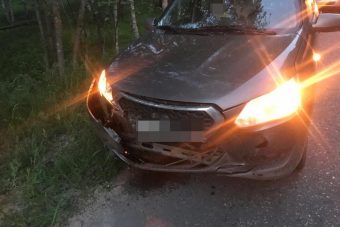 Легковушка под Тверью сбила кабана Легковушка под Тверью сбила кабана