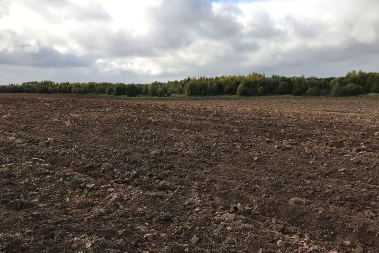 В Тверской области у землевладельца изъяли два участка, которые он держал в запустении