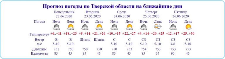 В Тверской области на этой неделе будет настоящее лето