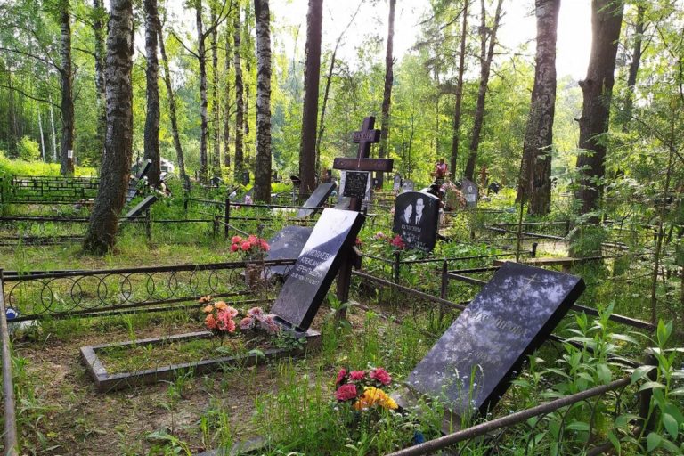 В надругательстве над могилами умерших в Тверской области подозревают 14-летнюю девочку
