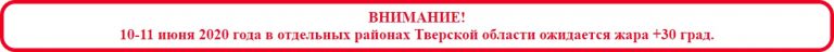 В Тверской области жара спадет 12 июня
