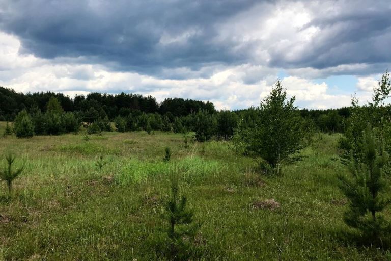 В Тверской области землевладельца оштрафовали за снятие плодородного слоя почвы и зарастание сельхозугодий