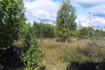 В Западнодвинском районе землевладелец нарвался на штраф за зарастание сельхозугодий