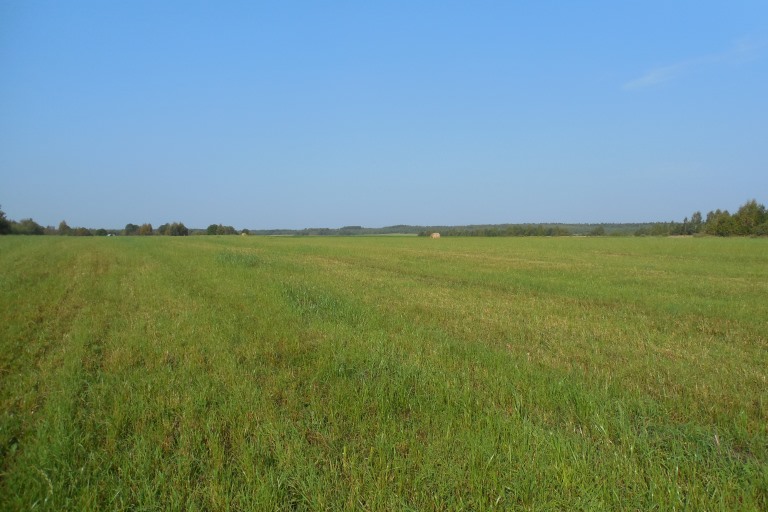 В Тверской области крупный землевладелец после двух предписаний привел сельхозугодья в порядок