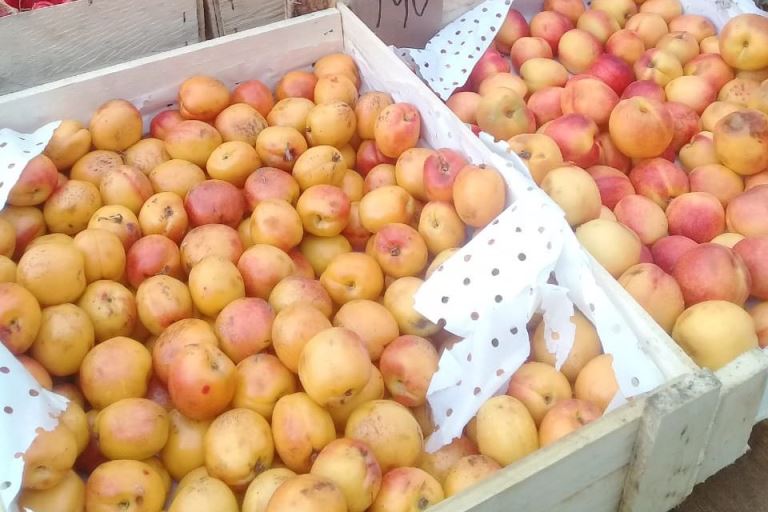 В Весьегонске торговали сомнительными абрикосами, черешней и картофелем