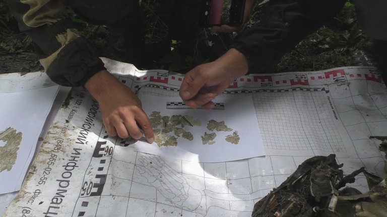 В Спировском районе поисковики подняли фрагменты фюзеляжа фронтового бомбардировщика ДБ-3