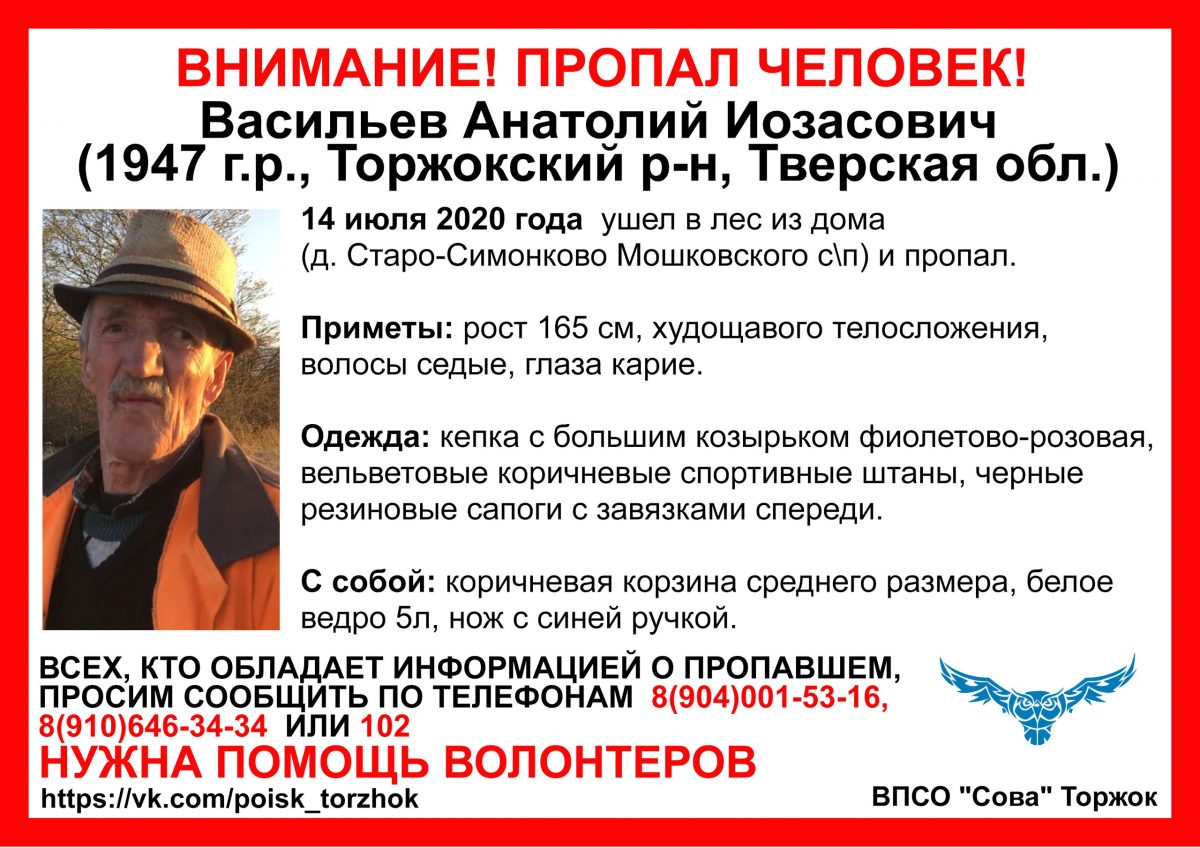 В Тверской области пятые сутки разыскивают пожилого грибника