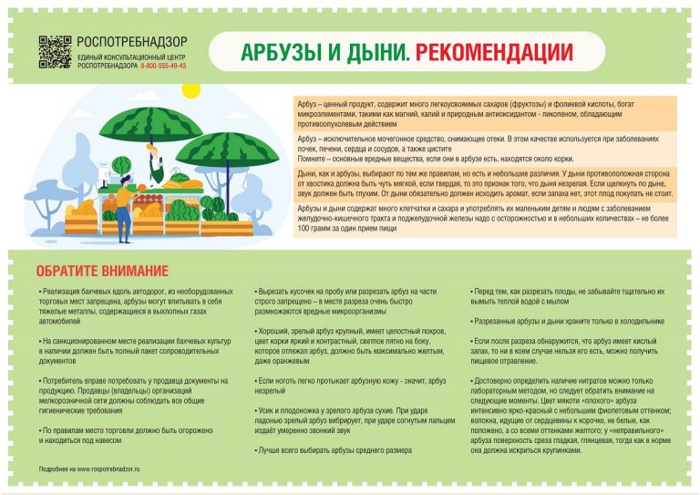 В Тверской области сезон арбузов и дынь официально объявлен открытым