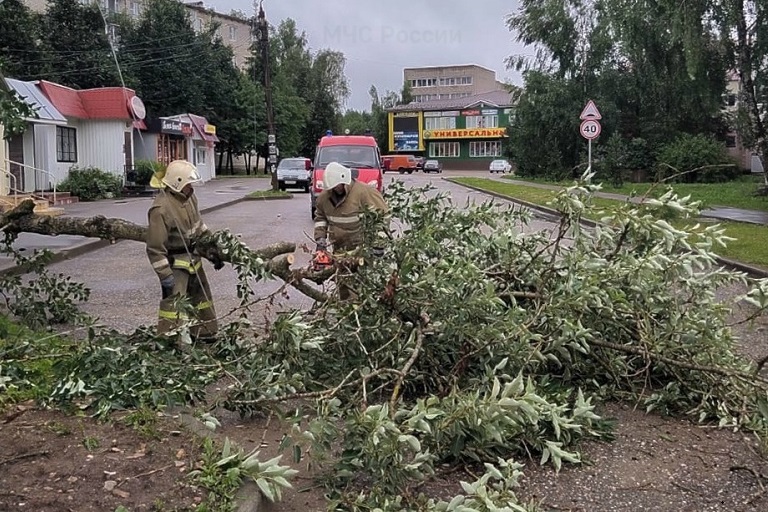 Названы районы Тверской области, которые зальет дождем