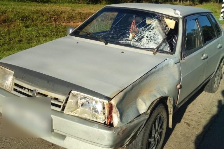 На «зебре» в Тверской области легковушка сбила насмерть пенсионерку