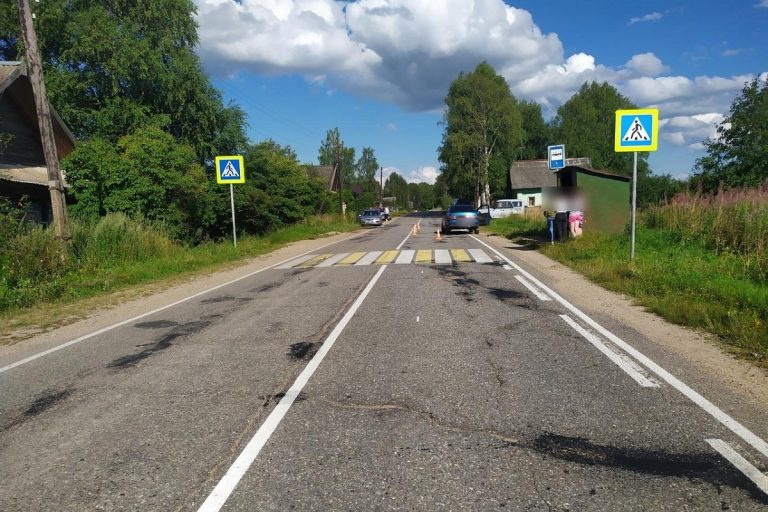 Восемнадцатилетняя девушка-водитель сбила малыша в Тверской области