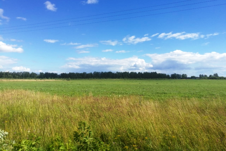 Житель Тверской области украл и продал чужое сено