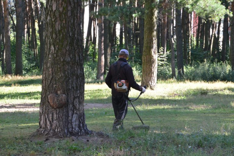 В Твери продолжается покос травы