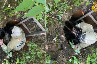 Сотрудники МЧС спасли собаку, упавшую на дно колодца в Тверской области