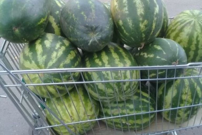 В Редкино и Конакове торговали сомнительными арбузами, дынями и саженцами