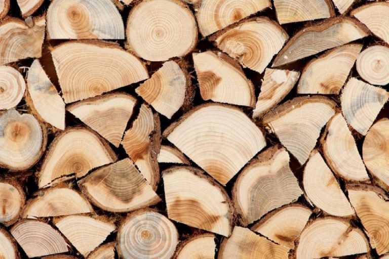 Жителя Тверской области осудили за кражу дров