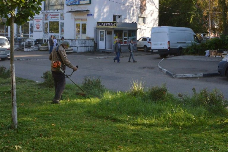 В Твери продолжается покос травы