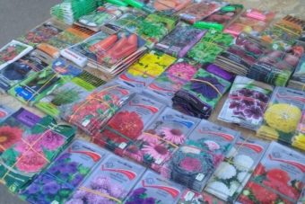В Тверской области торговали сомнительными семенами