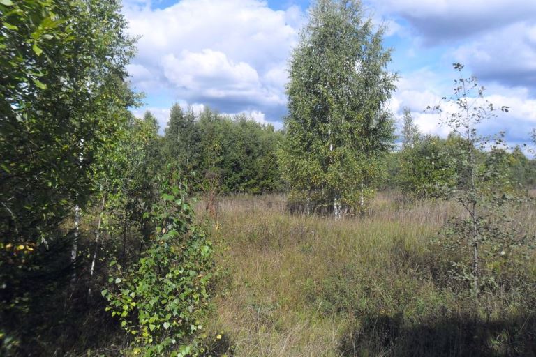 Житель Тверской области отказался от 18,4 гектаров сельхоугодий в пользу государства