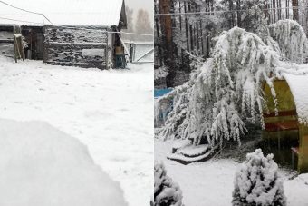 В октябре на севере Тверской области наступила зима