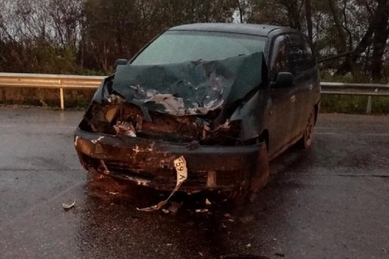 В Бологое столкнулись легковушка и мотоциклист