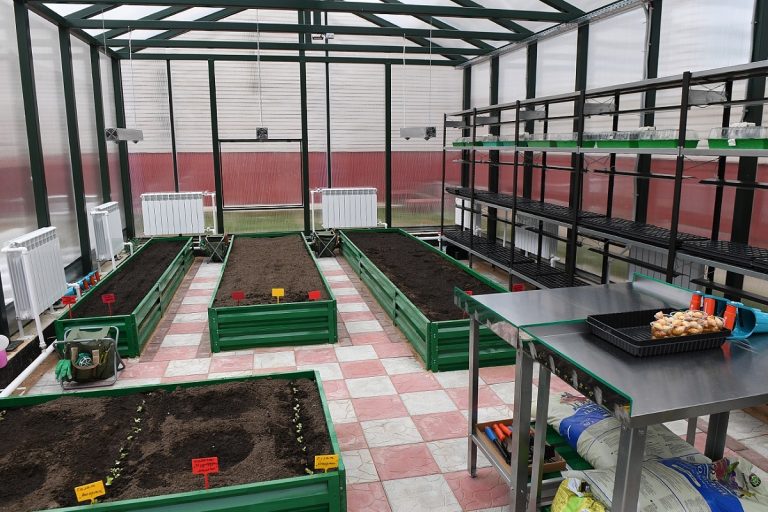 В Тверской области создают учебные мастерские для детей-инвалидов