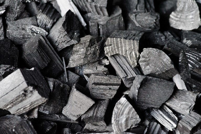 В Тверской области наказали производителя древесного угля