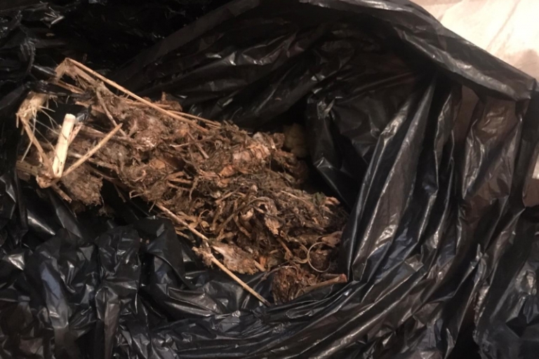 Житель Тверской области зарабатывал на жизнь торговлей марихуаной