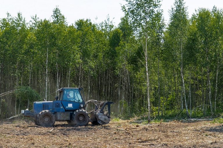 Около тысячи гектаров неиспользуемой пашни введено в оборот в Ржевском районе