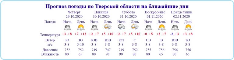 Начало ноября будет теплым в Тверской области