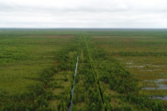 Тверская область занимает второе место в России по числу пожароопасных торфяников