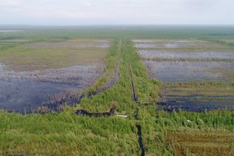 Тверская область занимает второе место в России по числу пожароопасных торфяников