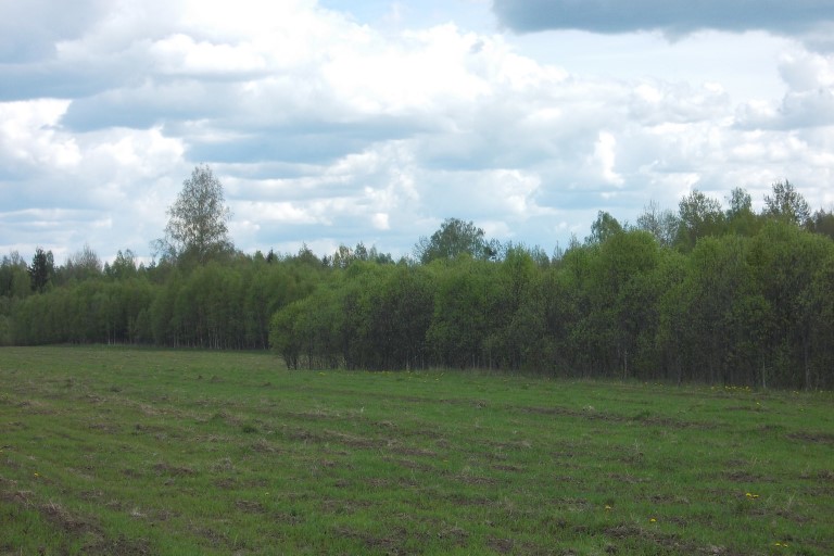 В Тверской области выявлены нарушения земельного законодательства
