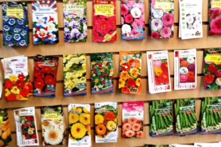 На рынке в Твери торговали семенами сомнительного качества