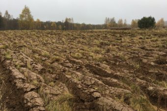 В Ржевском районе 5 гектаров зараставших земель вовлечены в сельхозоборот