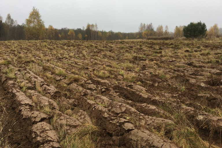 53 га земли в Тверской области станут местом кормовой базы