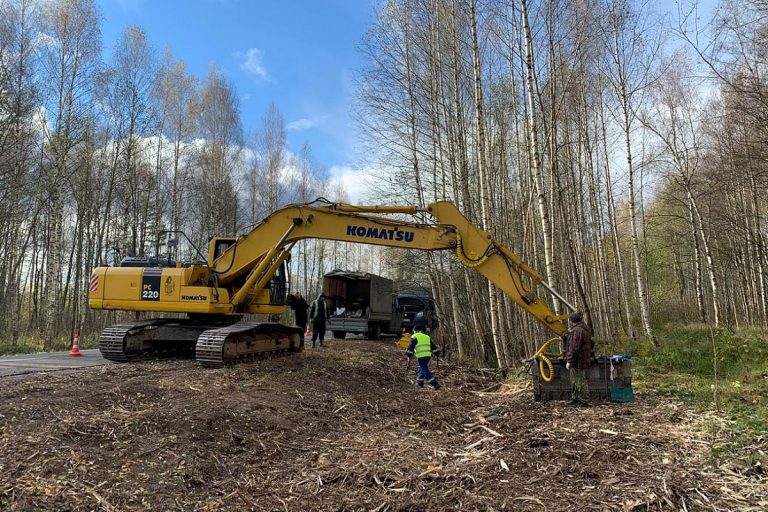 В Тверской области вдоль дорог вырубают деревья и кустарники