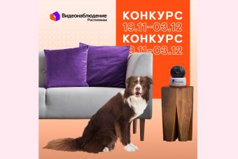 В главных ролях — ваши домашние любимцы: конкурс от «Ростелекома»