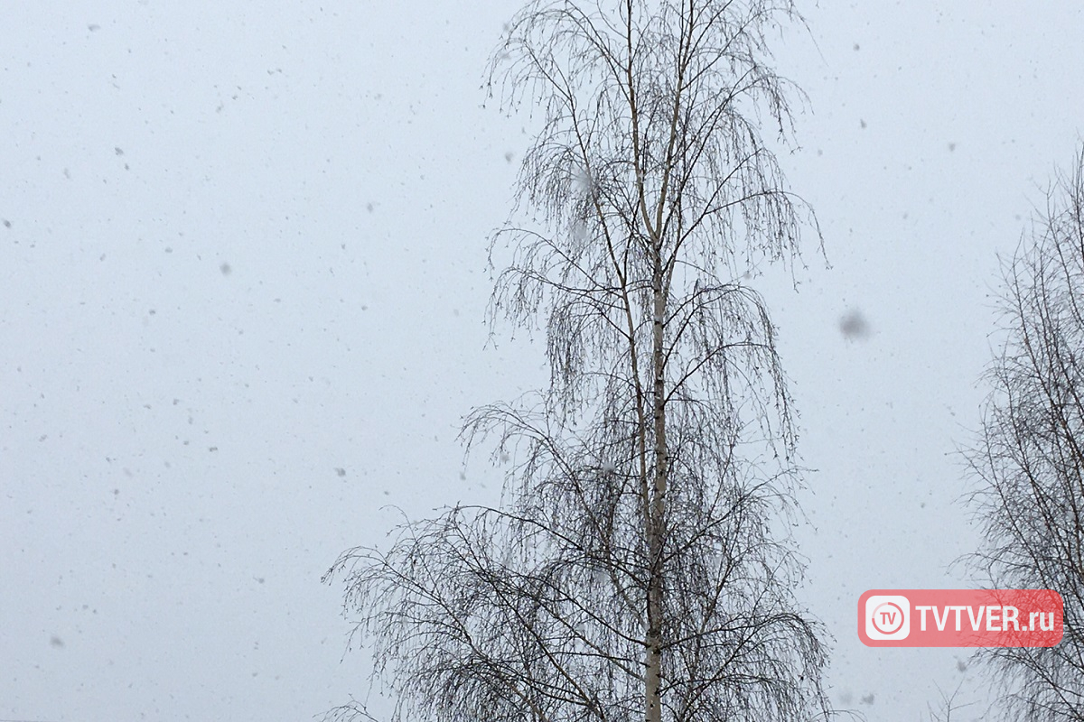 В Тверской области ожидается первый снег