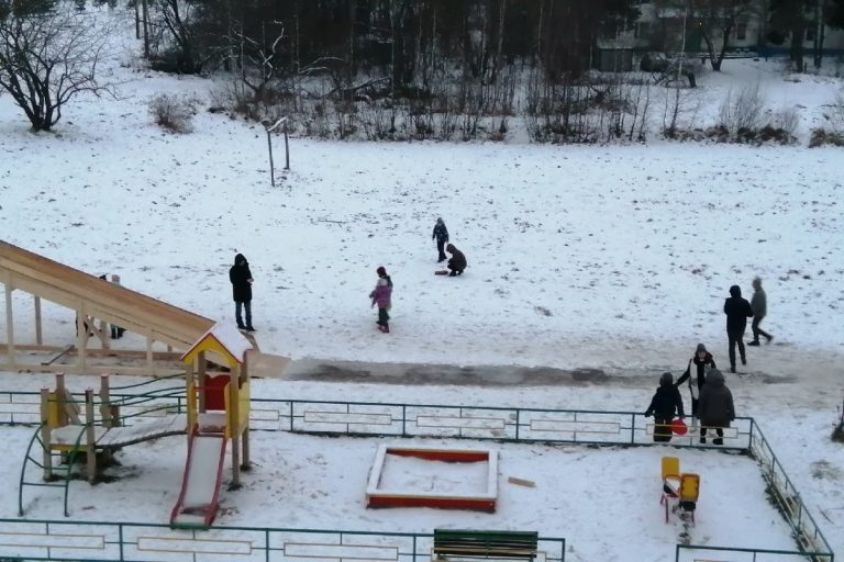 В Эммауссе детвора играла с трупом кота