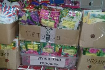 В Твери торговали сомнительными семенами
