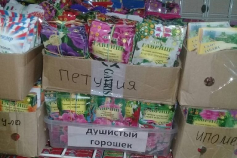 В Твери торговали сомнительными семенами